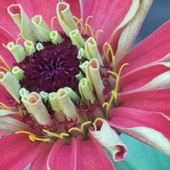 Meet your Posher, Lorie - Picture 5 of 12